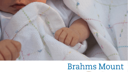 eshop at Brahms Mount's web store for American Made products